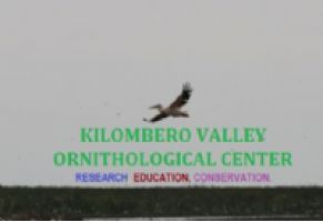 Kilombero Valley Ornithological Center logo